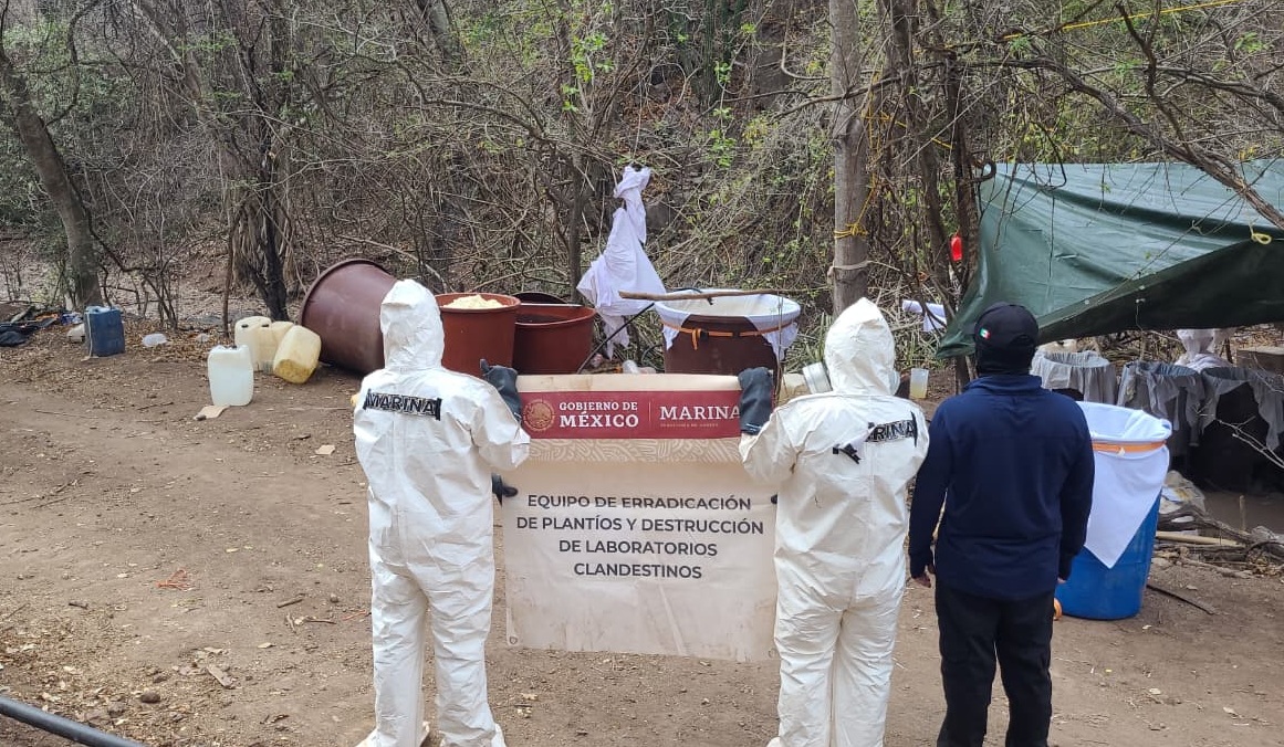Marina desactiva narcolaboratorio en Sinaloa y asegura 700 kilos de producto terminado.