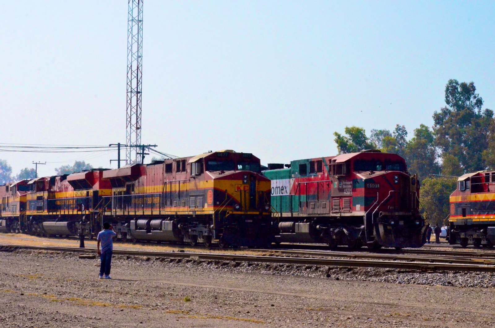 Conexión Ferroviaria para CDMX y el resto del país: Así avanzan los nuevos proyectos de trenes de pasajeros