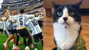Billy, el gato viral que acertó 21 resultados del Mundial 2026