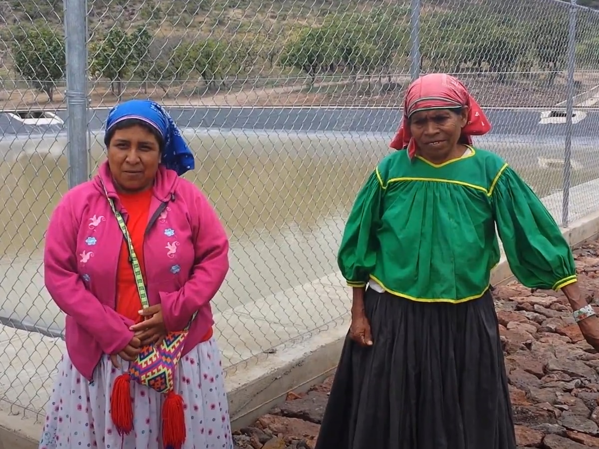 Ley afromexicano