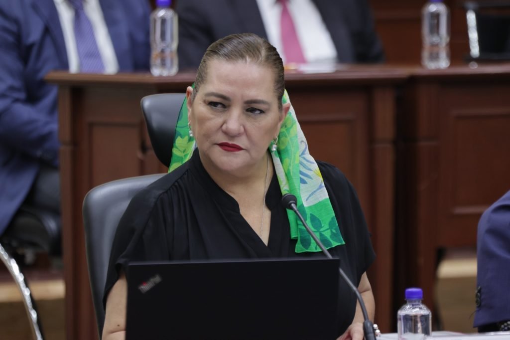 INE vigilará revisión de candidaturas, pero partidos tendrán la última palabra.
