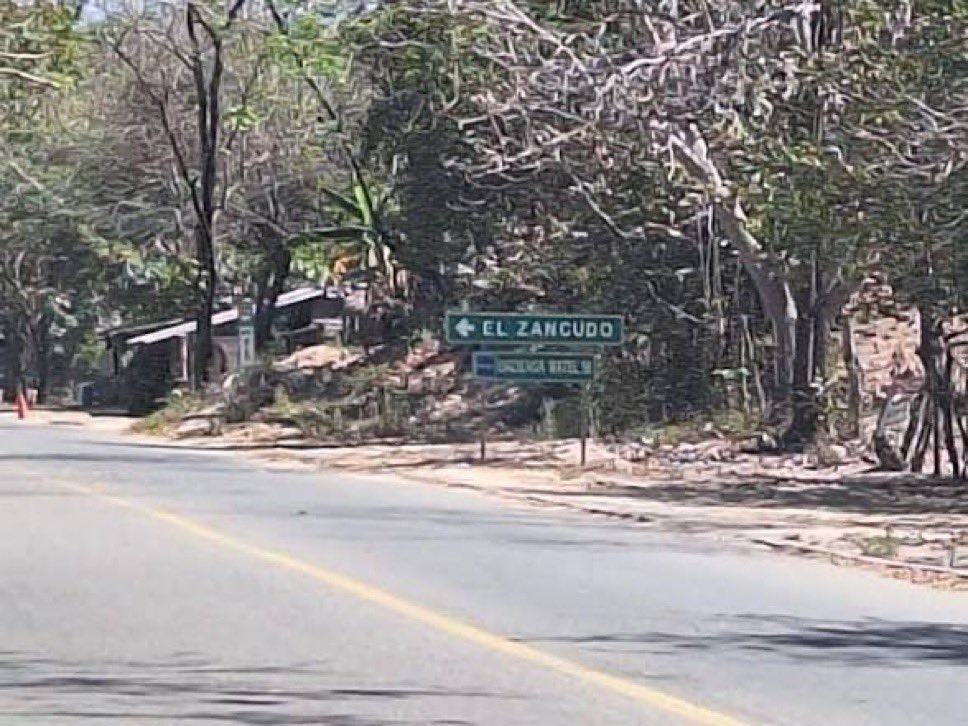 Localizan con vida a tres estudiantes desaparecidos desde el 25 de junio en Puerto Vallarta.