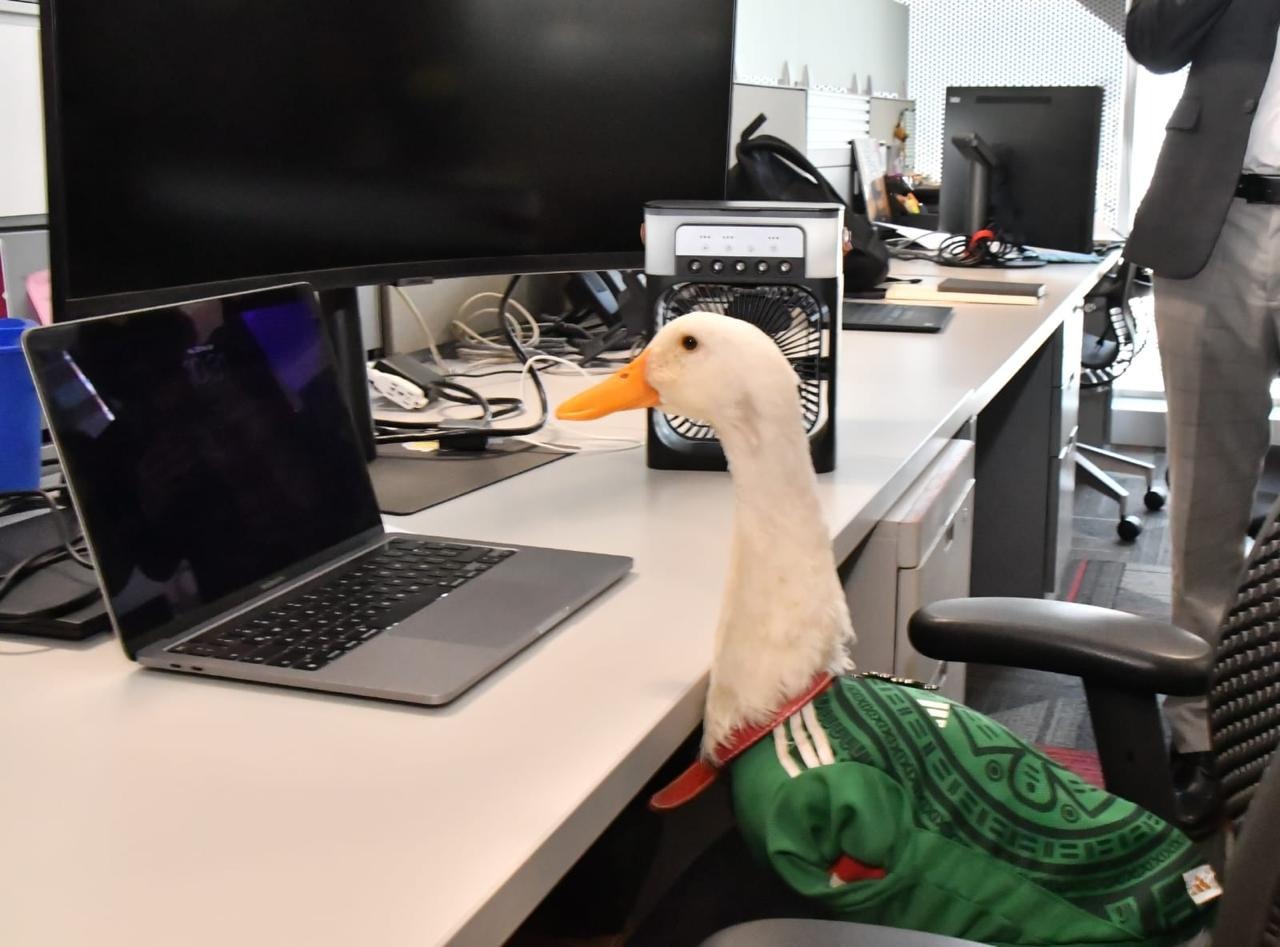 Prohibido "hacerse pato": Congreso de la CDMX impulsa la Ley Merlín