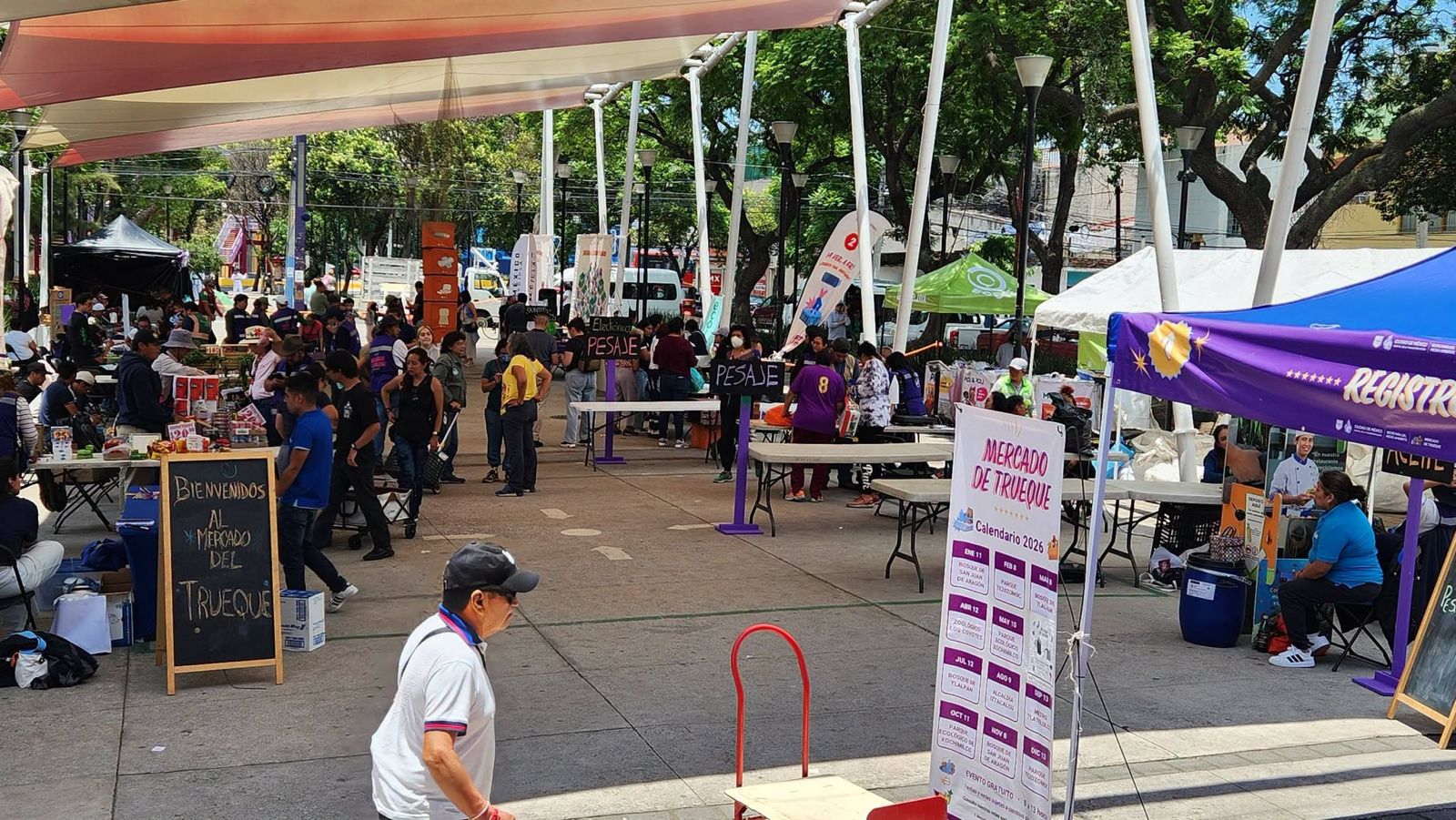 Mercado de Trueque 2026 llega al Bosque de Tlalpan en CDMX: Fechas, horarios y qué materiales aceptan