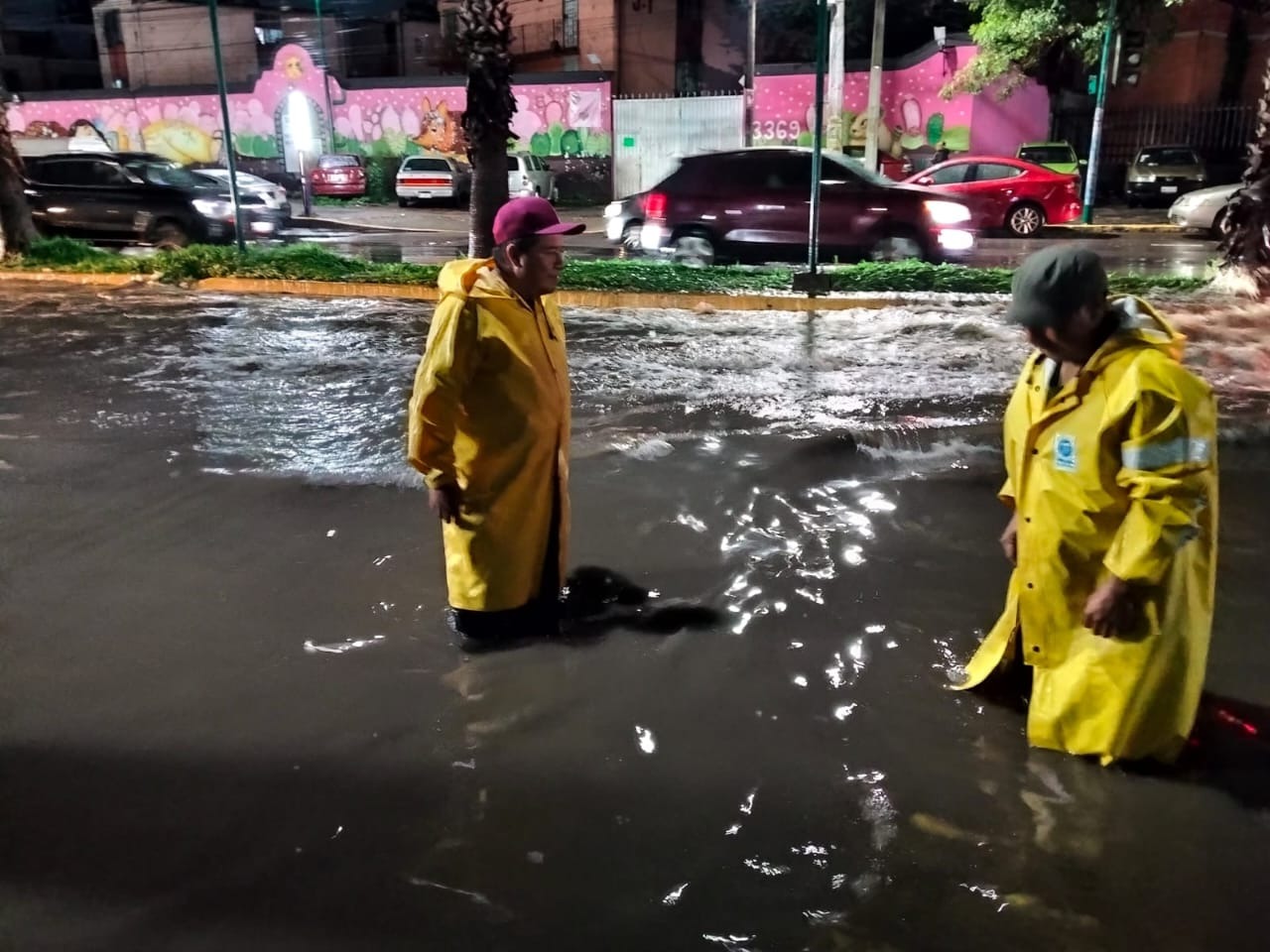 Tormenta deja inundaciones y 20 árboles caídos en CDMX