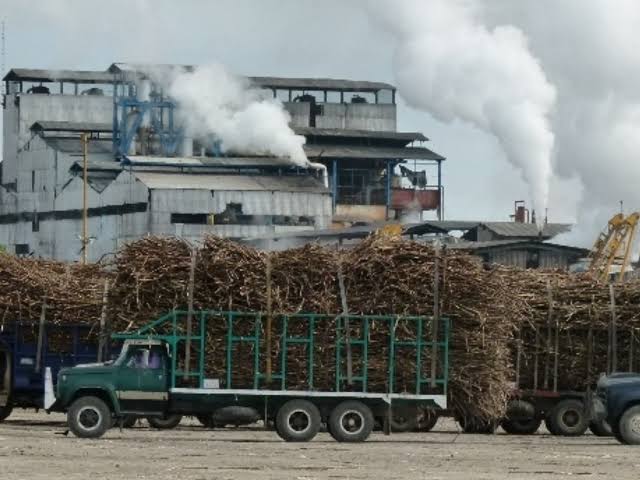 Azúcar Veracruz