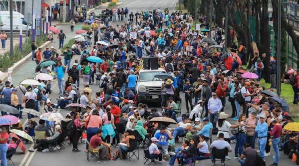 CNTE