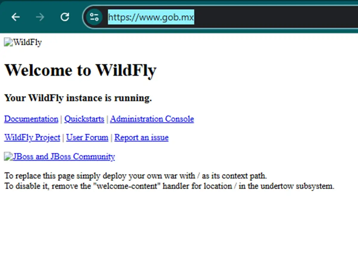 Caída internet gob mex
