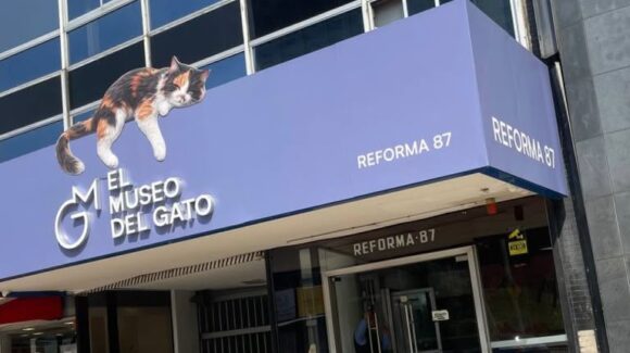 Nueve vidas no bastaban, los gatos ya tienen museo en Ciudad de México