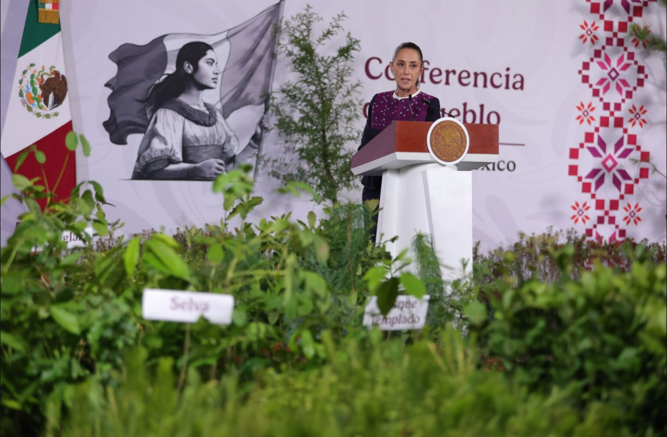 Gobierno de México realizará Jornada Nacional de Reforestación