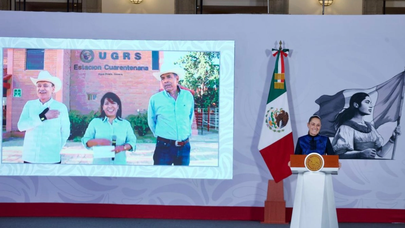 Reabre la frontera de Estados Unidos al ganado mexicano