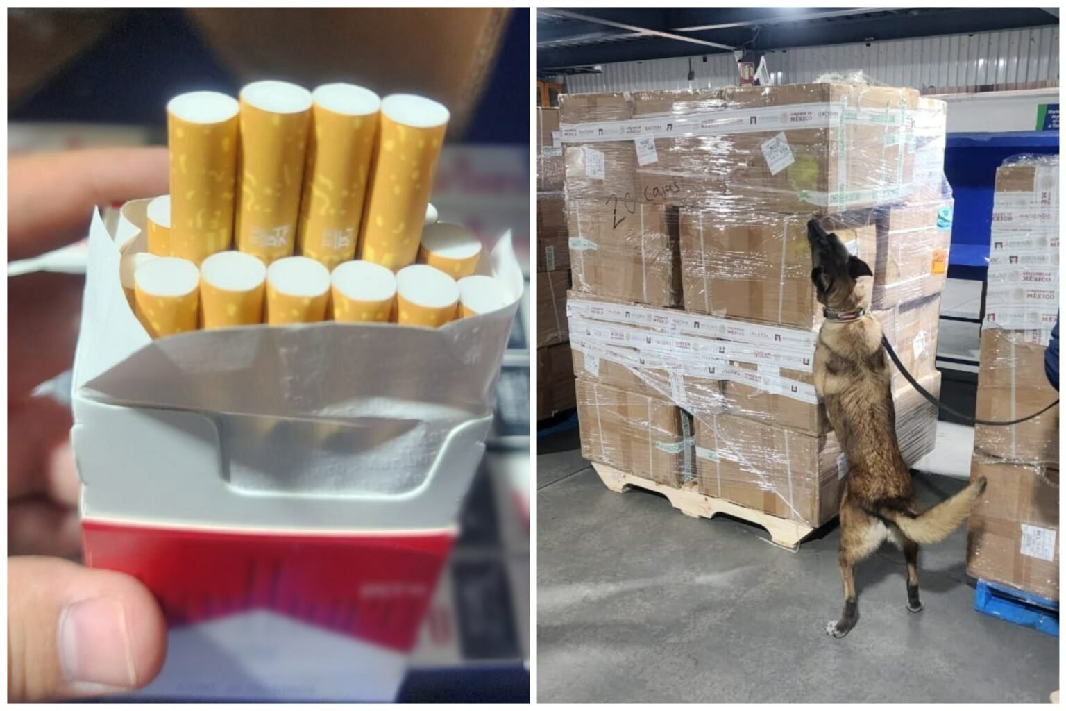 Aseguran 2 millones de cigarros ilegales en el AICM procedentes de Tailandia.