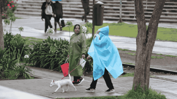 ¡Tome sus precauciones! Ciudad de México tendrá lluvias fuertes este domingo, según el SMN