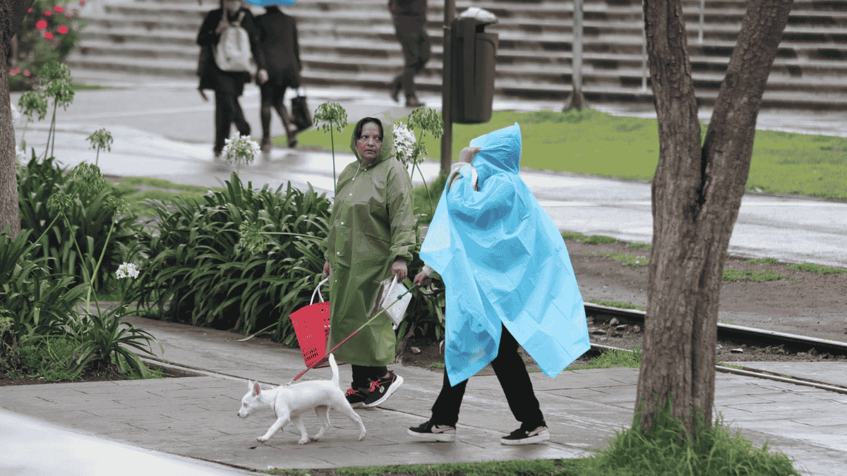 ¡Tome sus precauciones! Ciudad de México tendrá lluvias fuertes este domingo según el SMN.