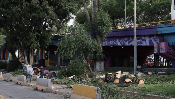 Morebús enfrenta protestas de ambientalistas en Morelia, Michoacán.