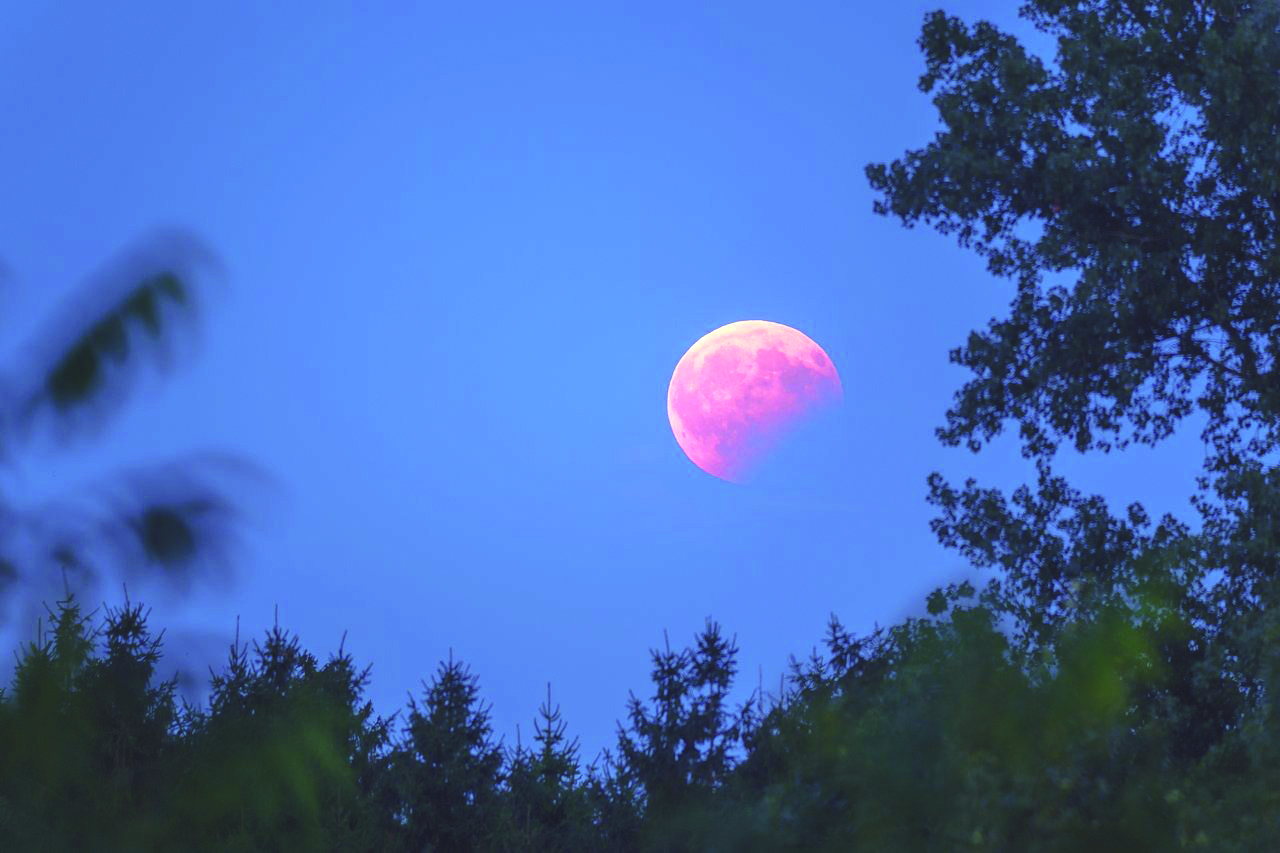 Luna de Sangre en la ciudad: Sedes gratis para ver el eclipse