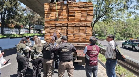 FGR asegura 2 mil metros cúbicos de madera ilegal en bodega de Tlalpan