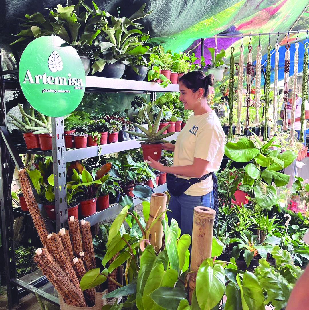 Llega el Plant Fest 2026 a la colonia Juárez