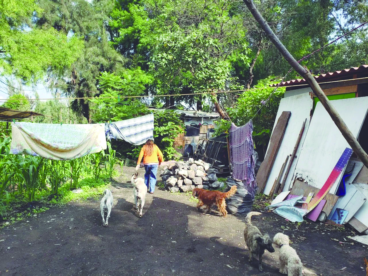 Los centros urbanos de capital pierden 2.5 millones de vecinos