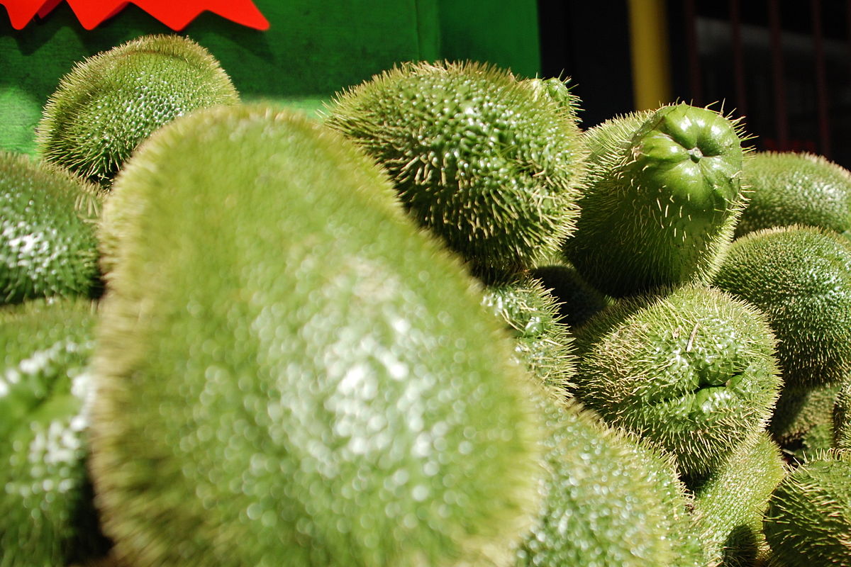 Chayote México