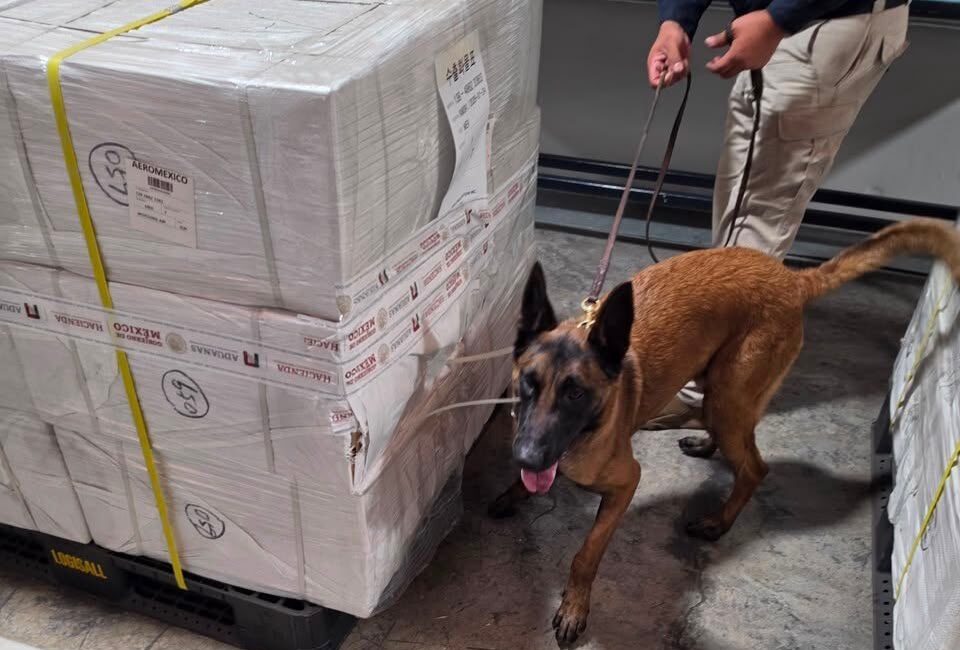 AICM frena ingreso de 2.8 millones de cigarros ilegales