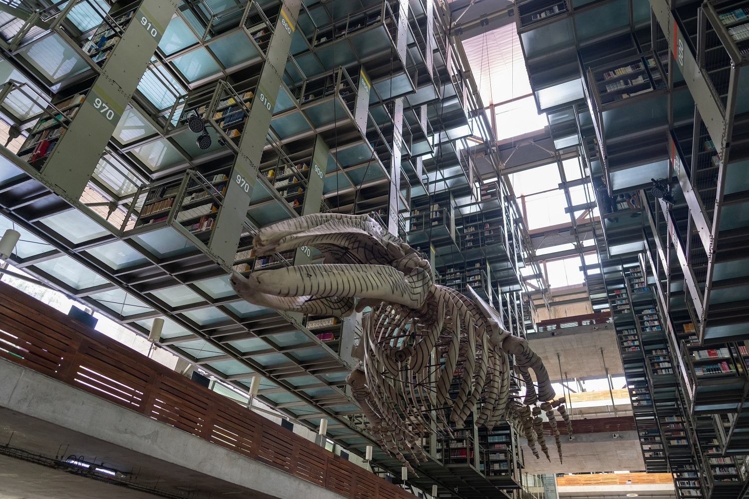 La Vasconcelos cumple 20 años entre libros, acero y una ballena