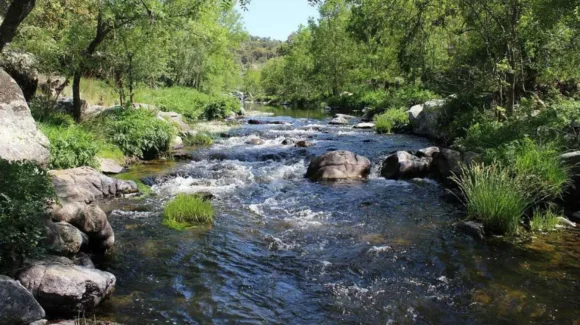 La OMM alerta por la caída de las reservas de agua dulce: 2025 fue de los años más secos para los ríos del planeta