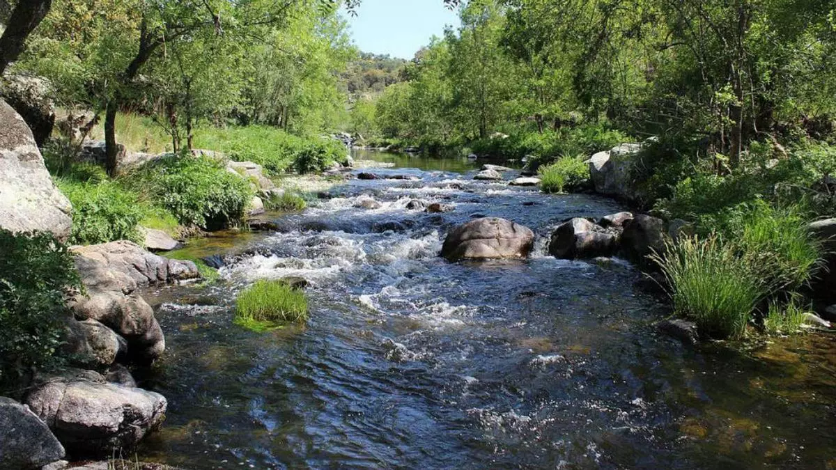 La OMM alerta por la caída de las reservas de agua dulce: 2025 fue de los años más secos para los ríos del planeta