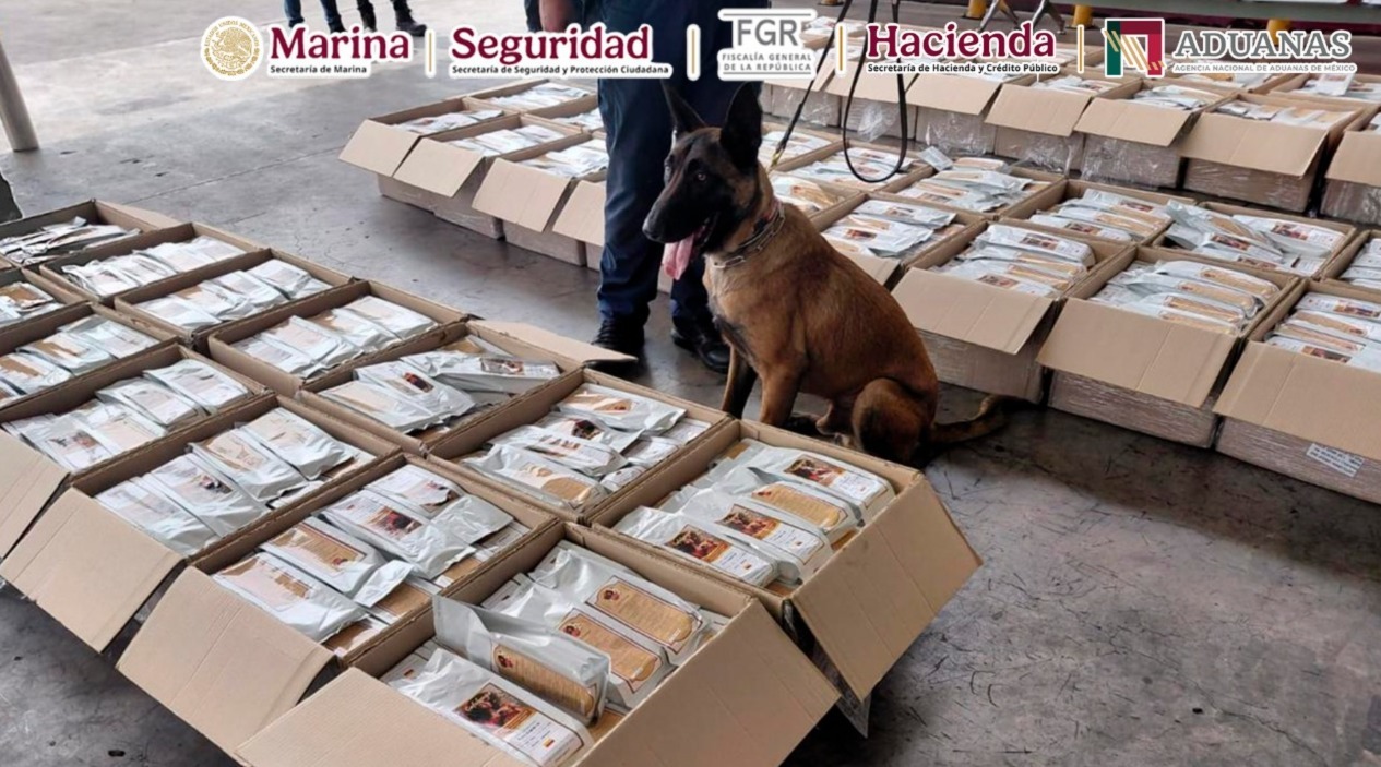 Detectan más de una tonelada de presunta cocaína base oculta en cargamento de café en el AICM.