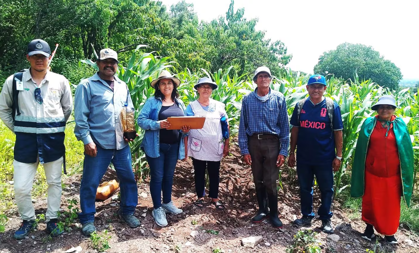 campo mexicano