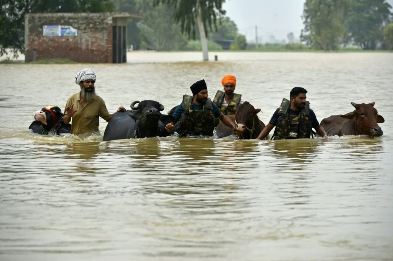 Inundaciones en India afectan a casi cinco millones