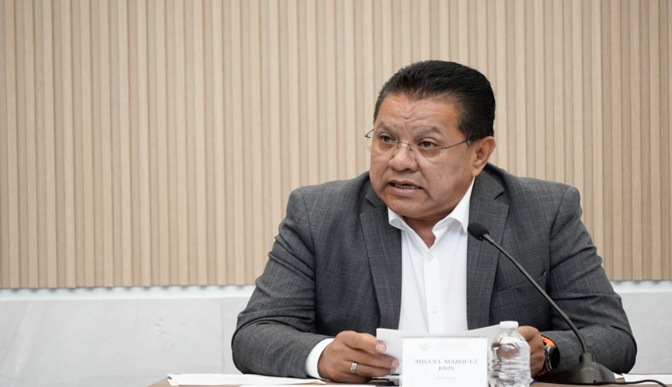 Diputado del Verde, Miguel Márquez, es apodado 'Lord Cachetadas