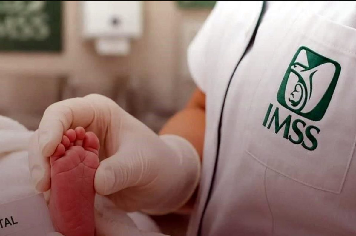 IMSS entrega por error a dos recién nacidas a familias