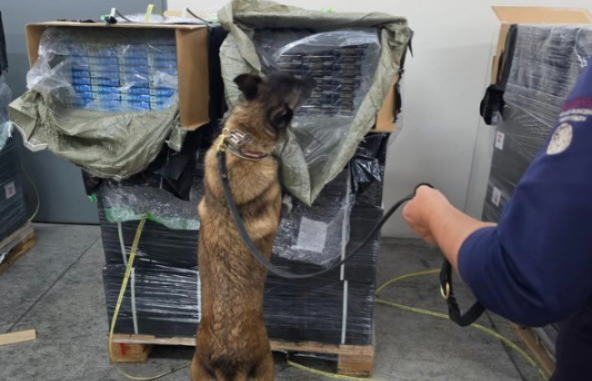 Aduana del AICM decomisa 5.4 millones de cigarros de contrabando.