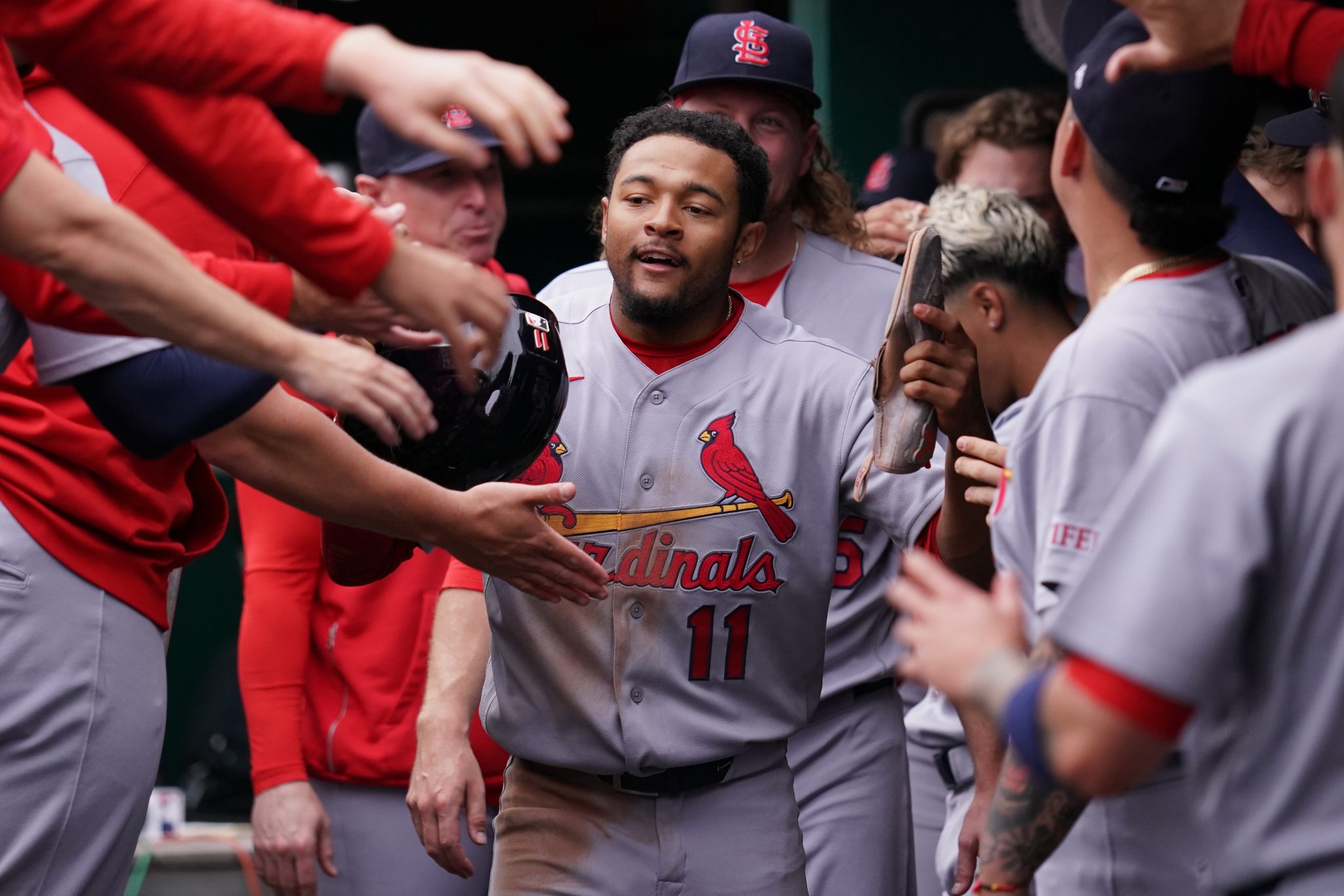 Cardinals
