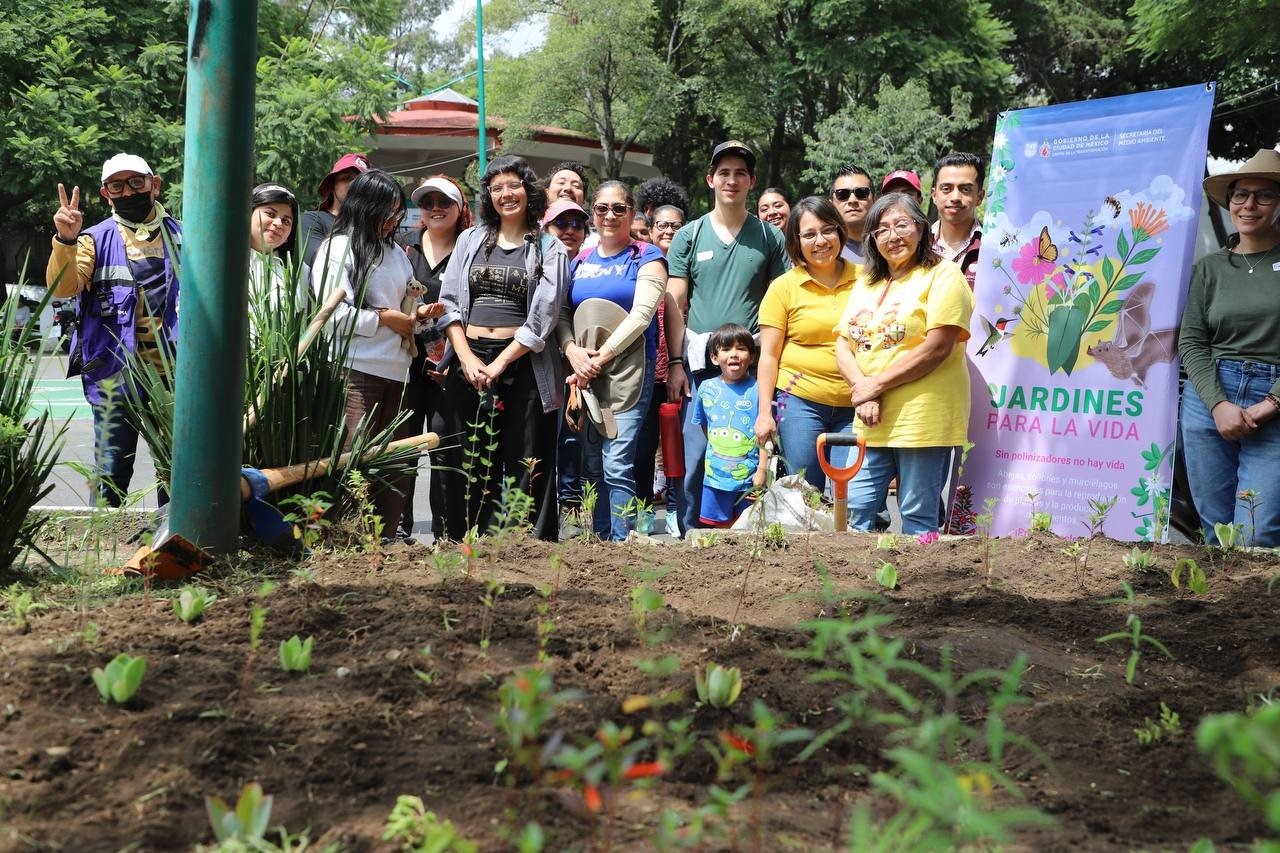 CDMX impulsa jardines urbanos para enfrentar reto del cambio climático