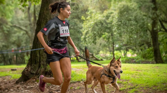 Carreras en la CDMX: Conoce la agenda deportiva para el cierre de 2026