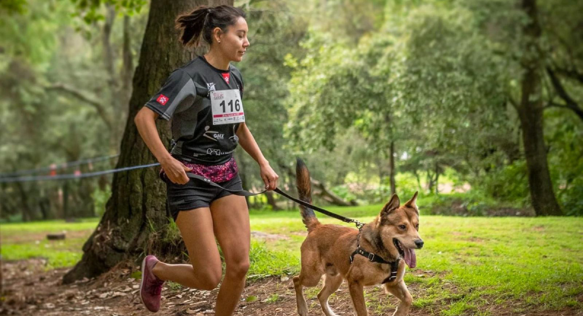 Carreras en la CDMX: Conoce la agenda deportiva para el cierre de 2026