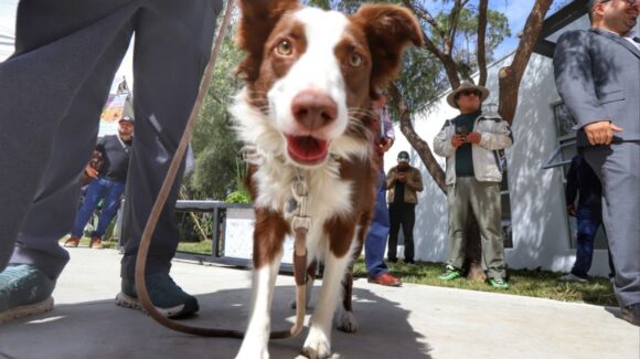 CDMX: Inauguran nuevo centro de bienestar animal en Venustiano Carranza