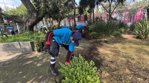 Alcaldía Miguel Hidalgo en la CDMX entregará apoyos de 38 mil pesos para mantener parques urbanos