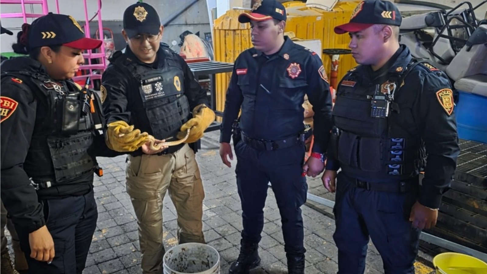 Capturan policías capitalinos serpiente encontrada al interior del Metro Pantitlán