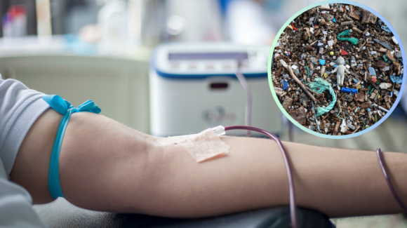 IPN detecta microplásticos en sangre y orina de habitantes de Oaxaca; estudio alerta que pueden transportar otros contaminantes