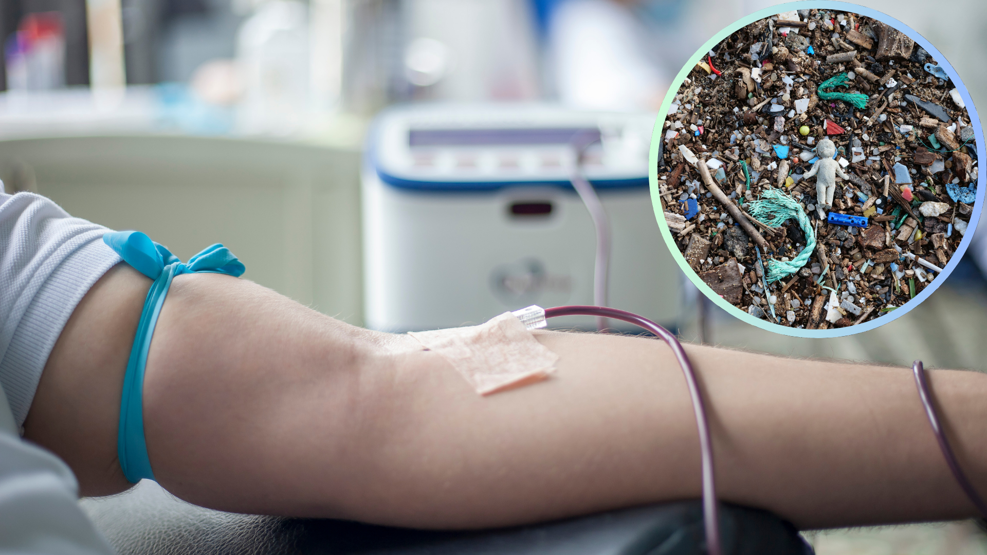 IPN detecta microplásticos en sangre y orina de habitantes de Oaxaca; estudio alerta que pueden transportar otros contaminantes