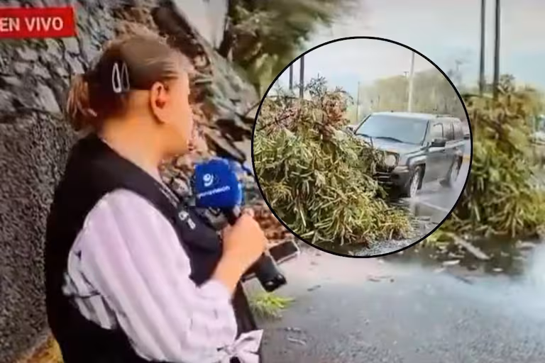 Reportera y camarógrafo son atropellados durante transmisión en vivo en Monterrey