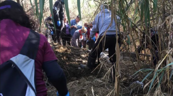 Sheinbaum evita confirmar presunto “centro de exterminio” en Nayarit; enviarán equipo de búsqueda