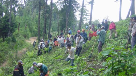“Tráiganmelo con vida”: niño pide a la Familia Michoacana liberar a su padre desaparecido en la Sierra de Guerrero