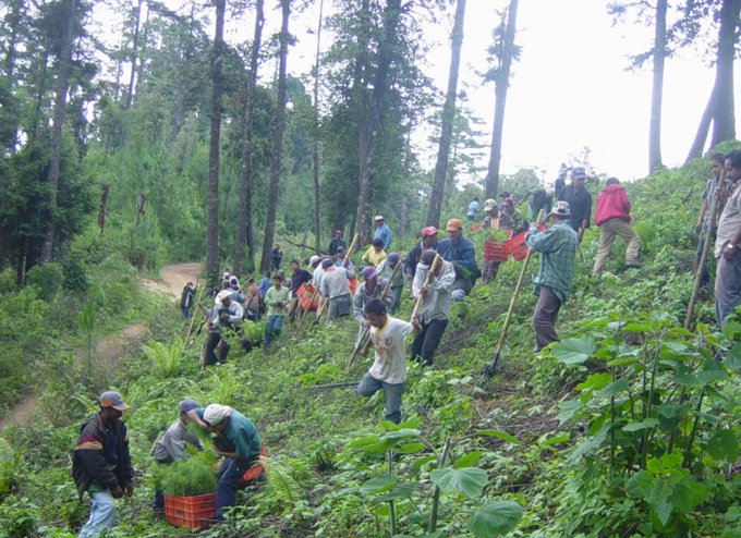 “Tráiganmelo con vida”: niño pide a la Familia Michoacaana liberar a su padre desaparecido en la Sierra de Guerrero.