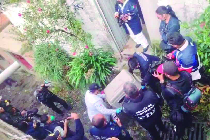 Rescatan a 26 gatos y seis perros pitbull de casa en Tlalpan
