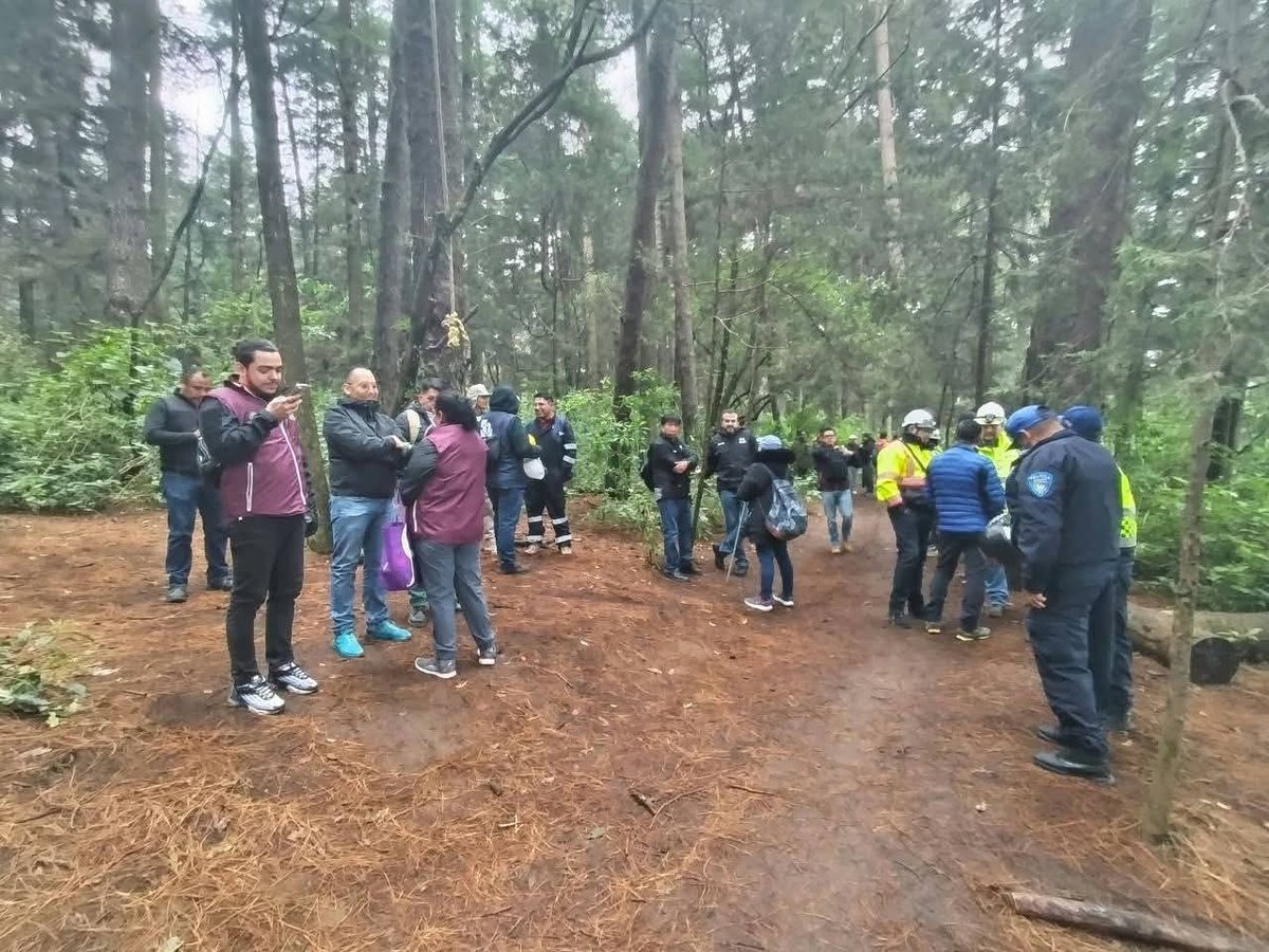 Protestan por supuesta tala de árboles en Bosque El Ocotal, Cuajimalpa
