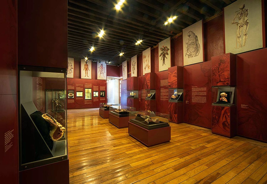 Palacio de la Inquisición